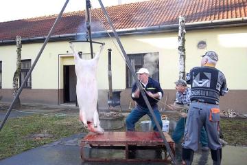 Fašiangová zabíjačka 2014 Fašiangová zabíjačka 2014
